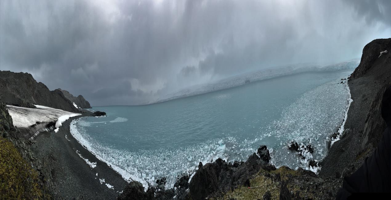 Antarktika Livingston Island South Bay Bulgarian Coast