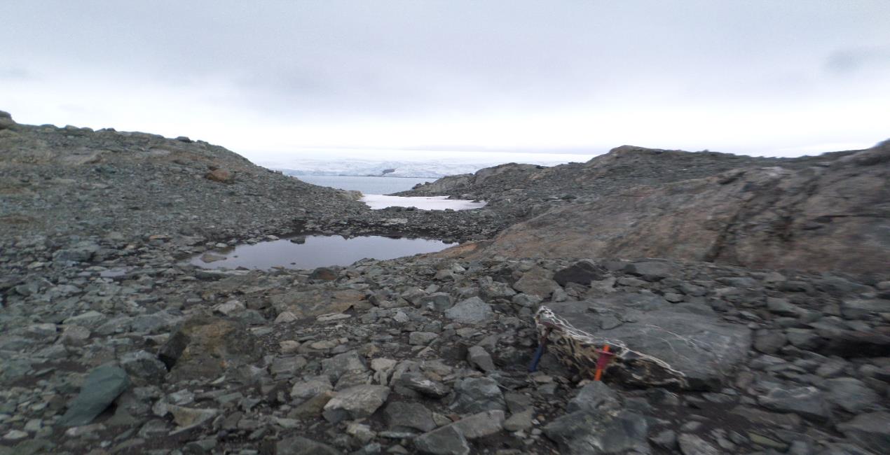 Livingston Island, Bulgarian Antarctica Base “St. Kliment Ohridski”